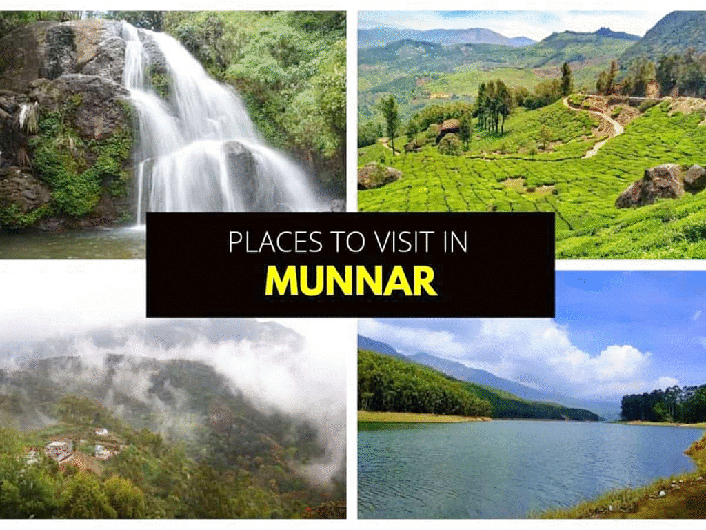 munnar royal star holidays local sightseeing