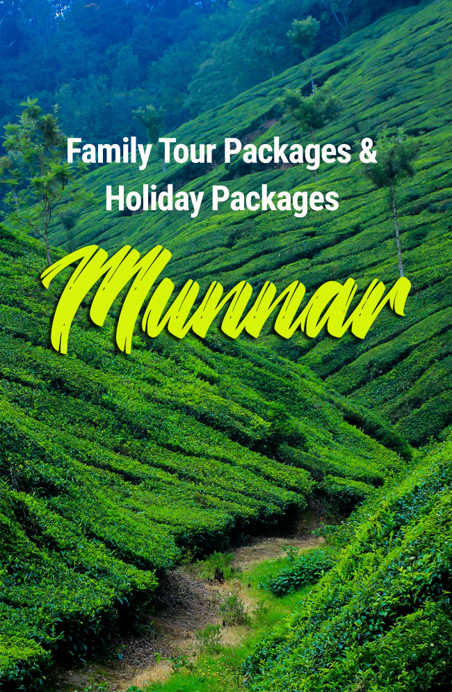 Tour packages in munnar for family and couple
